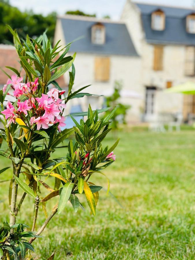 The Ronsardienne Suite In A Charming Mansion At The Gates Of Tours Saint-Avertin Exterior photo